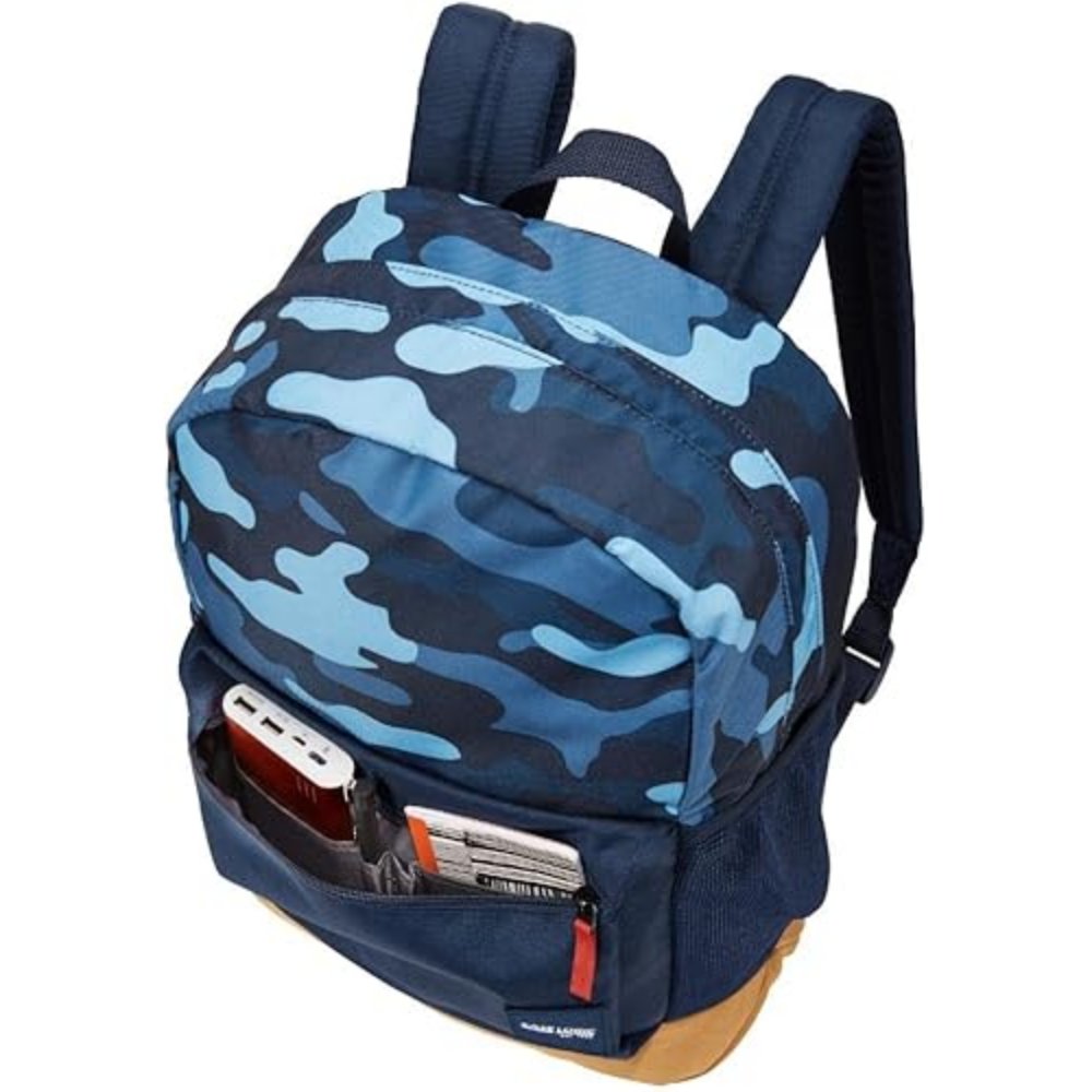 61-hRPOWwaL._AC_SY500_